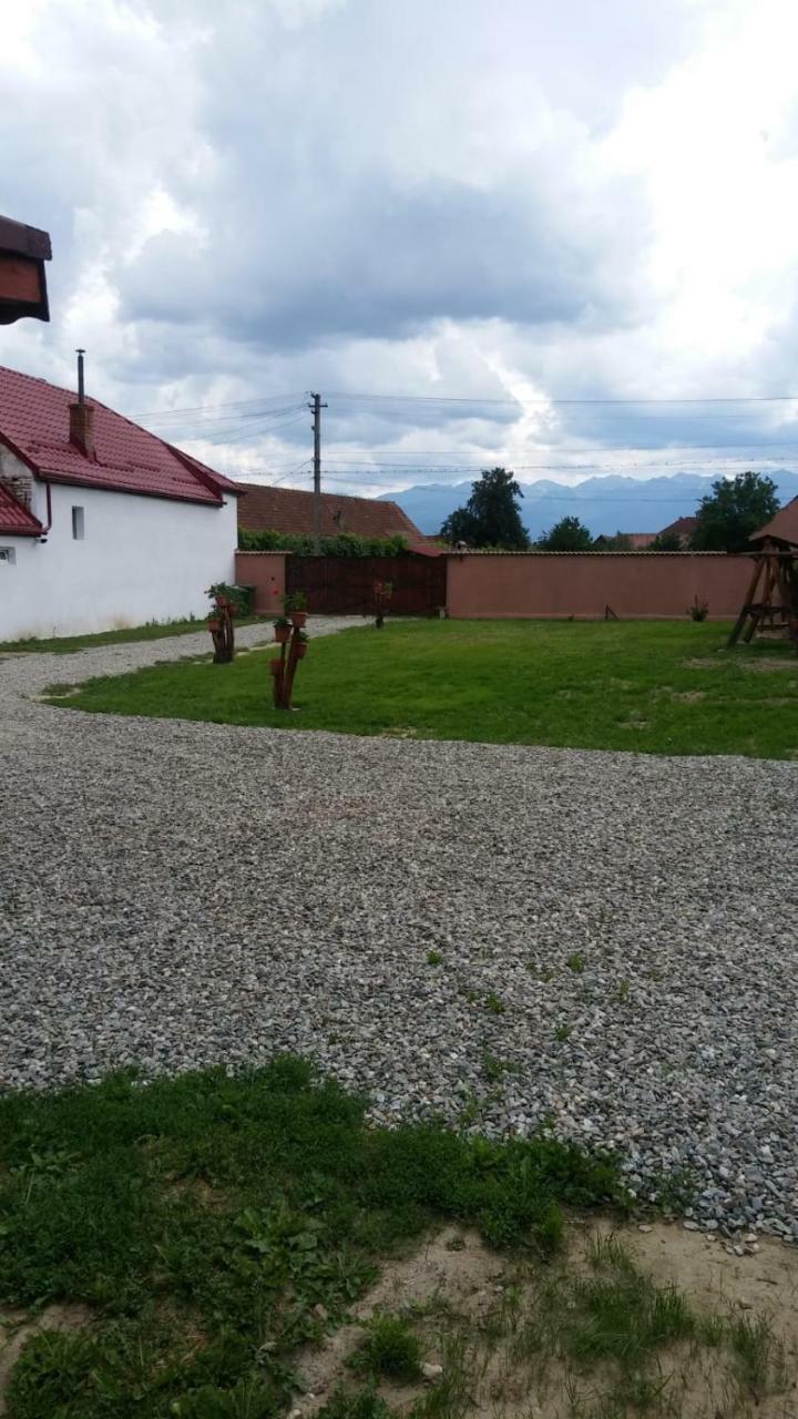 Apartament Casa Suzy&Roxy Arpasu de Jos Zewnętrze zdjęcie