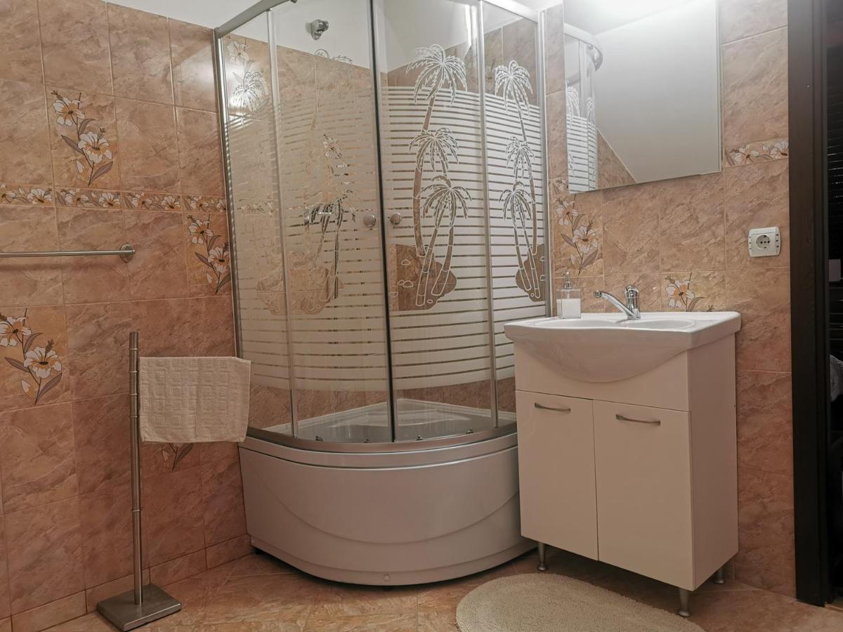 Apartament Casa Suzy&Roxy Arpasu de Jos Zewnętrze zdjęcie